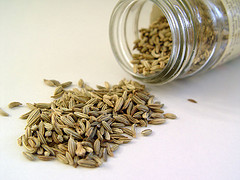 Fennel Essential Oil 5 ml